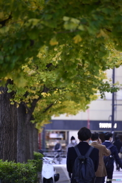有楽町の秋模様----③