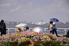 山下公園の休日