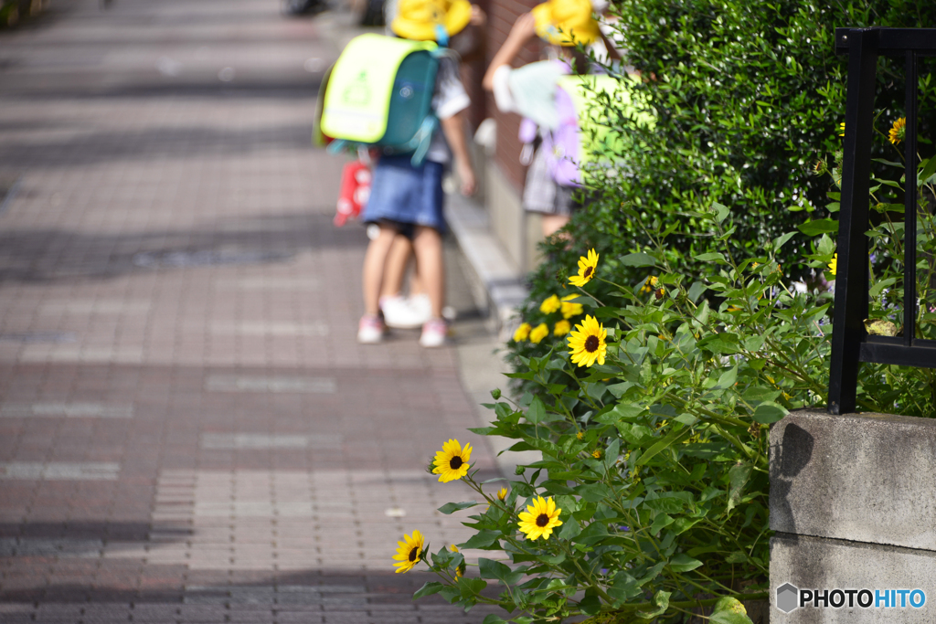 勉強より楽しい事を発見？