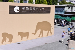 ここも大事なところ・・・