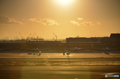 1月16時頃の羽田空港