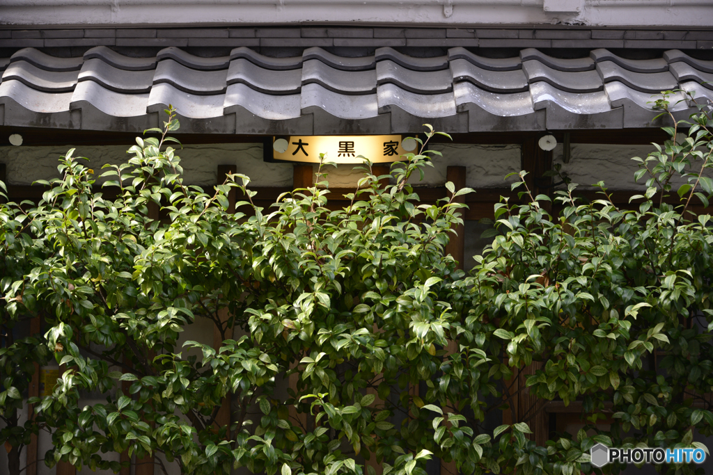 DAIKOKUYA by shoken (ID:8601659) - 写真共有サイト:PHOTOHITO