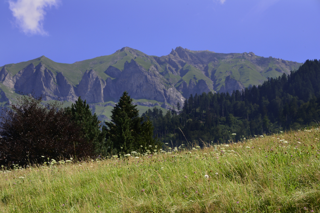 スイス・思い出の山々---２