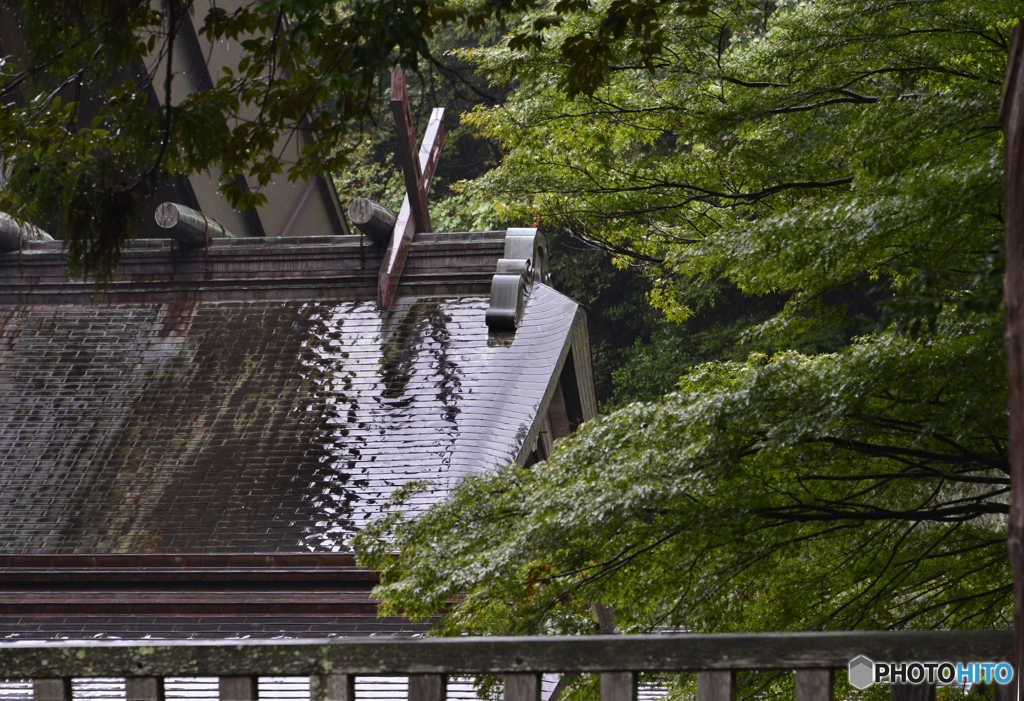 雨もよしとしましょう