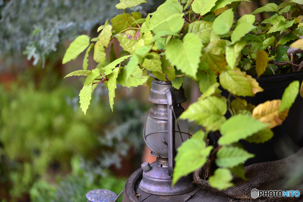 green lamp