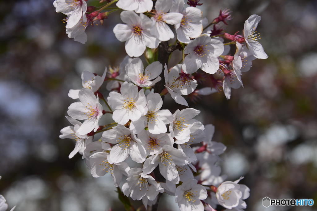 まだまだ見てよ！