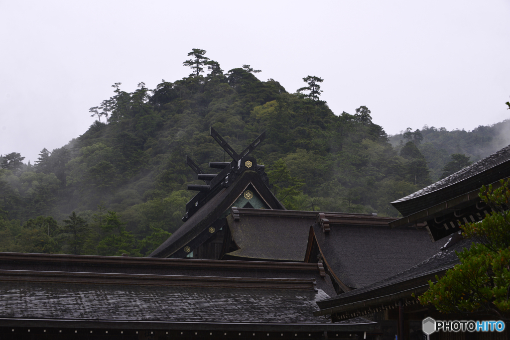 雨で良い雰囲気に・・