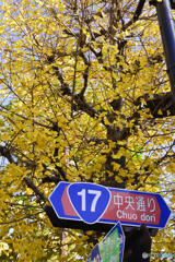 神田散歩---①