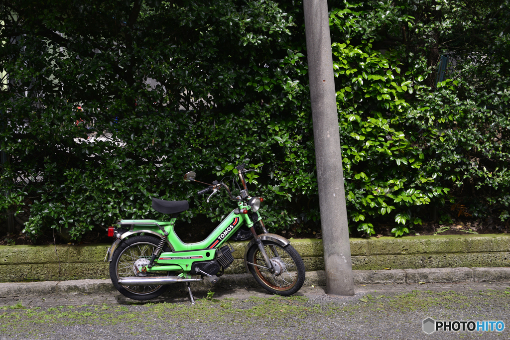 Green Bike