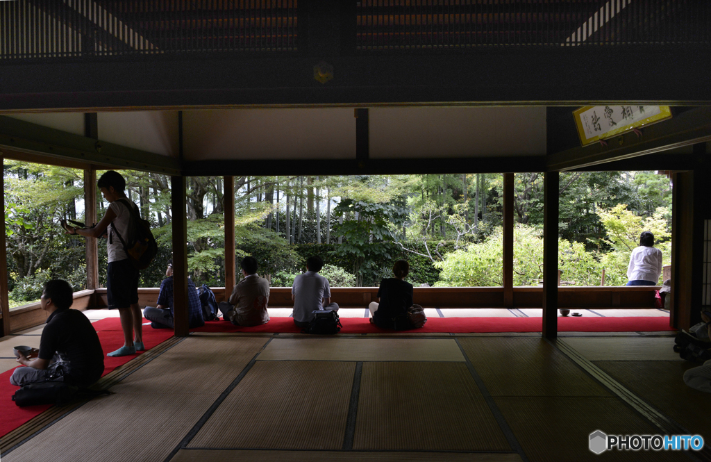 大原・宝泉院---④