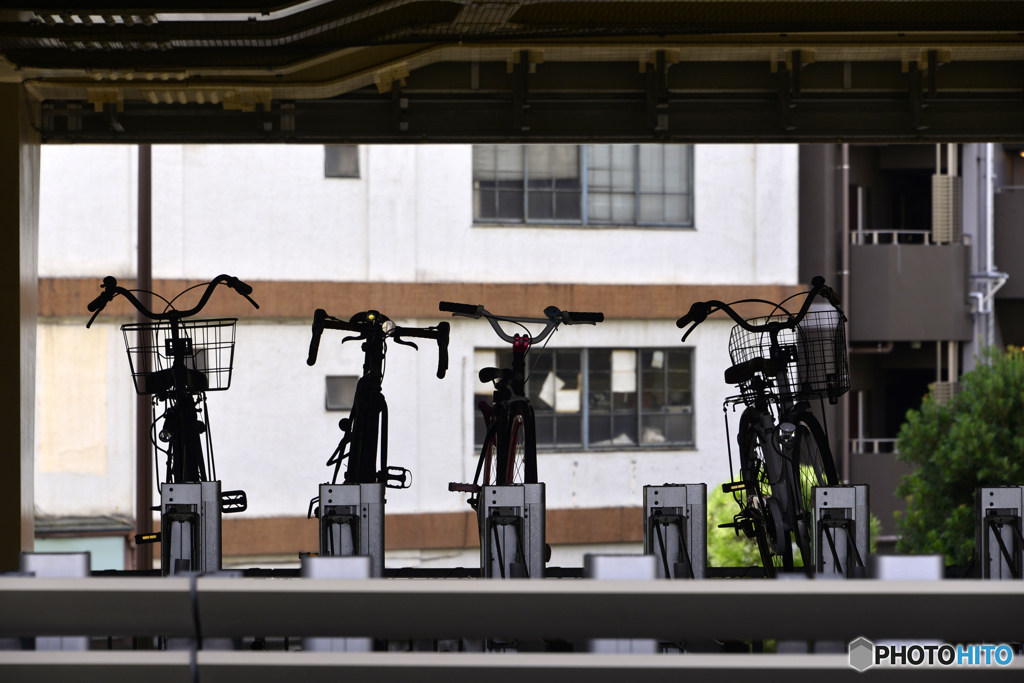 オレ、新入り、ヨロシク！