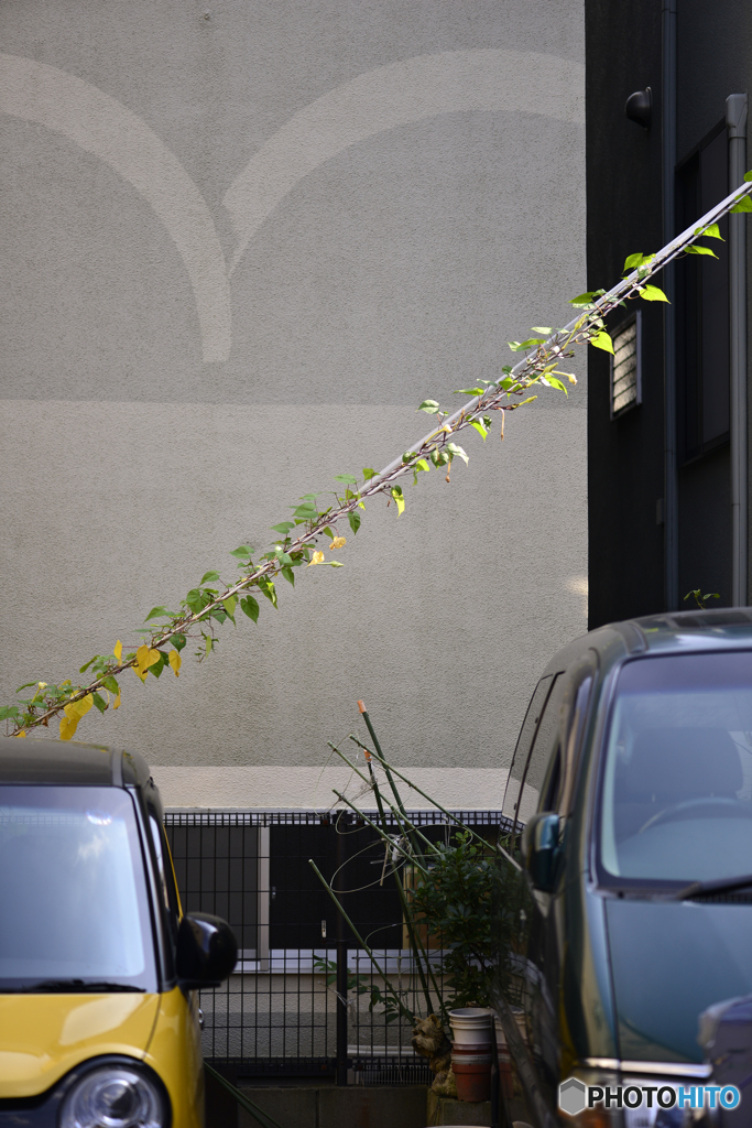 退屈な日の１枚---①