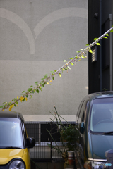 退屈な日の１枚---①