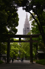 神宮の森---⑧