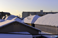 大雪の降った朝---②