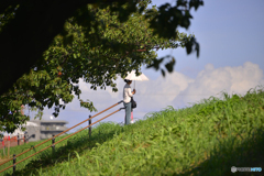 ご近所散歩---何を見てますか？