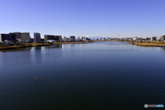 地元のTAMAGAWA