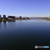 地元のTAMAGAWA