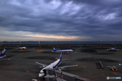 早朝の羽田空港----①