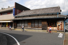伊豆・松崎町にて
