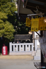 川崎大師にて----④