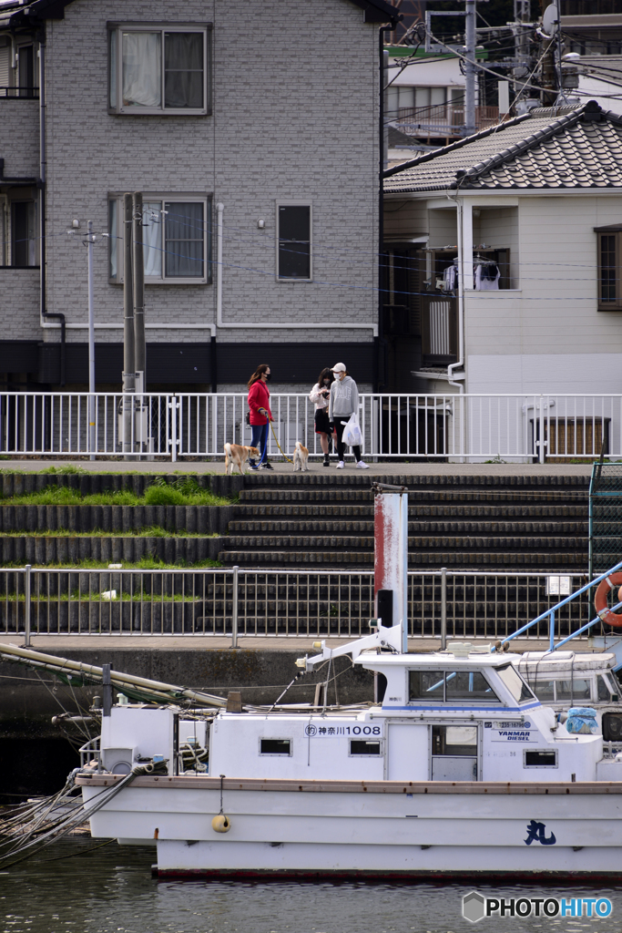 散歩で遭遇？