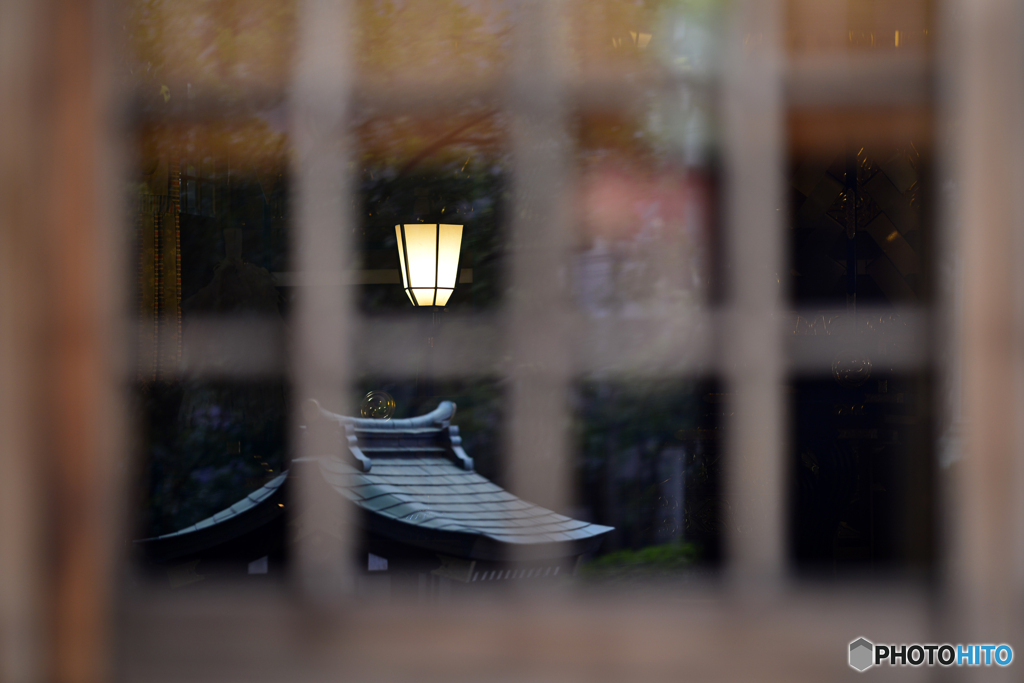 ご近所秋探し---③