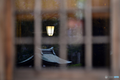 ご近所秋探し---③