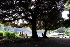 東京・六義園にて---③