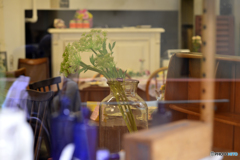 葉っぱを入れる物あります 葉っぱを入れる物あります