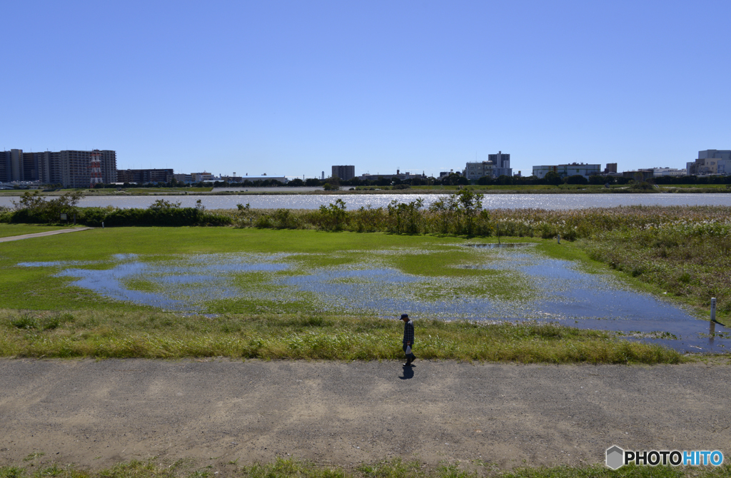 散歩道のある日---①
