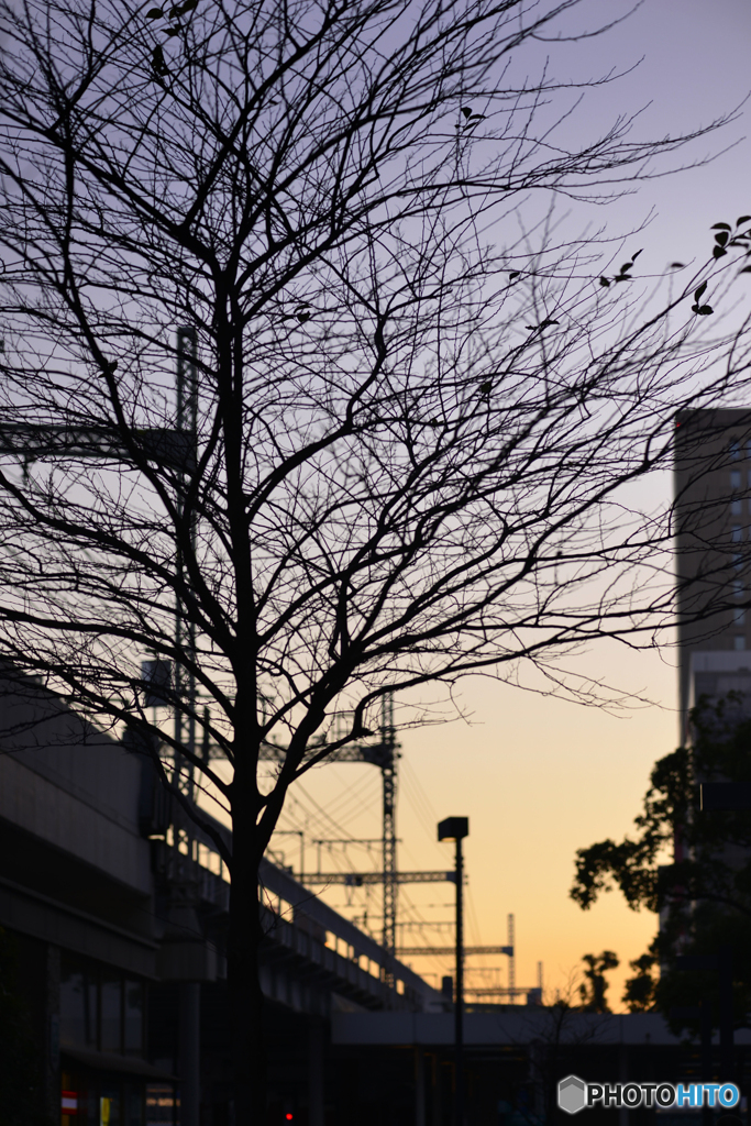 高架越しの秋の夕暮れ