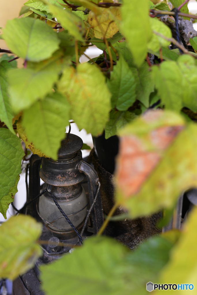 隠れたって無駄だよ！