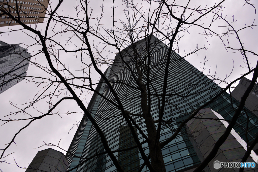 汐留の空は狭い