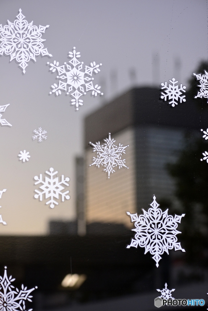 今夜は雪になるかも・・・