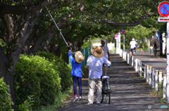 夏の自由研究