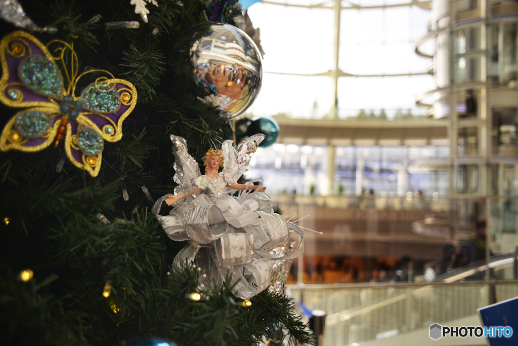 今年もまた会えましたね。