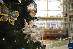 今年もまた会えましたね。