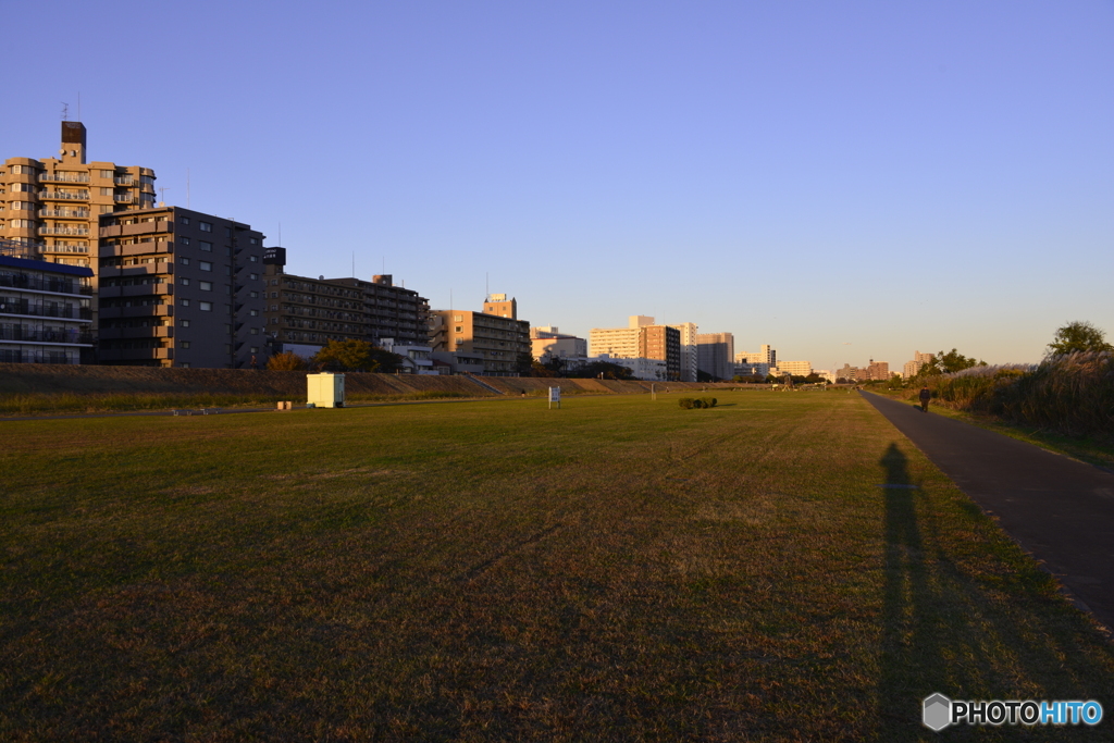 多摩川夕暮れ散歩---②