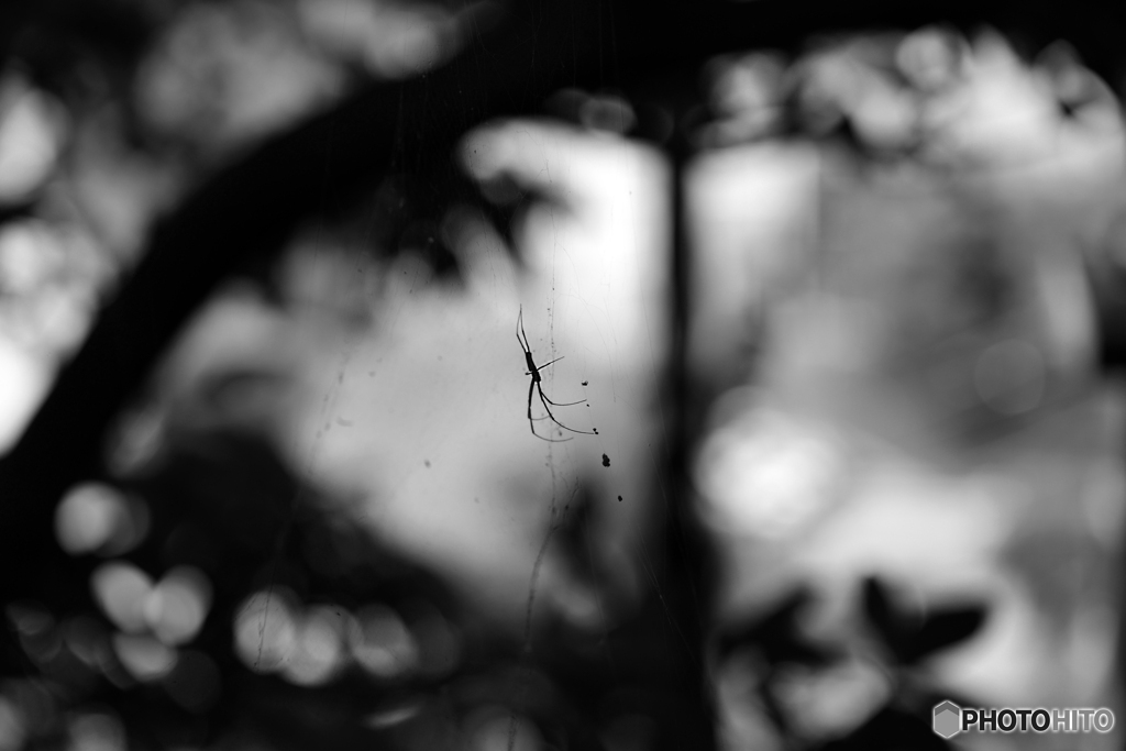 ジッと待つ・・・