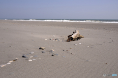 中田島砂丘----④