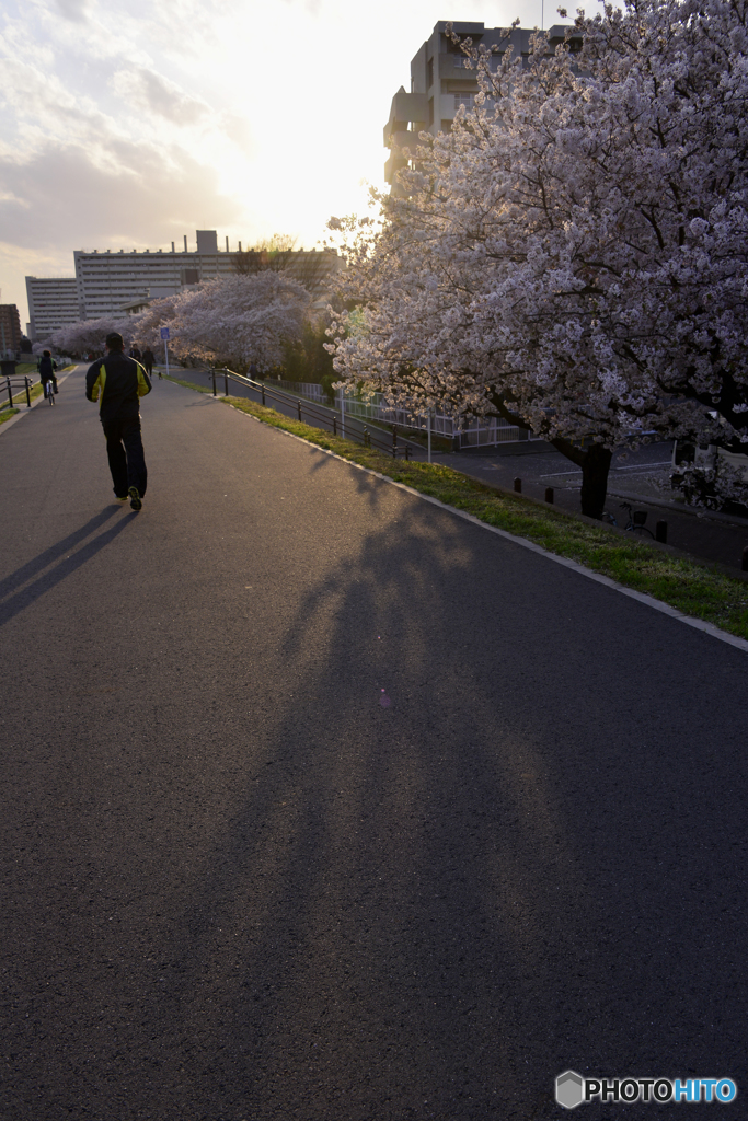 今日も一日ありがとう