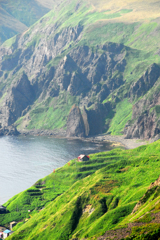 利尻島・礼文島にて--④