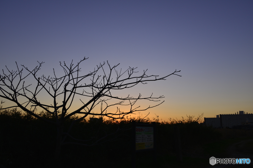 ある日の夕景---④