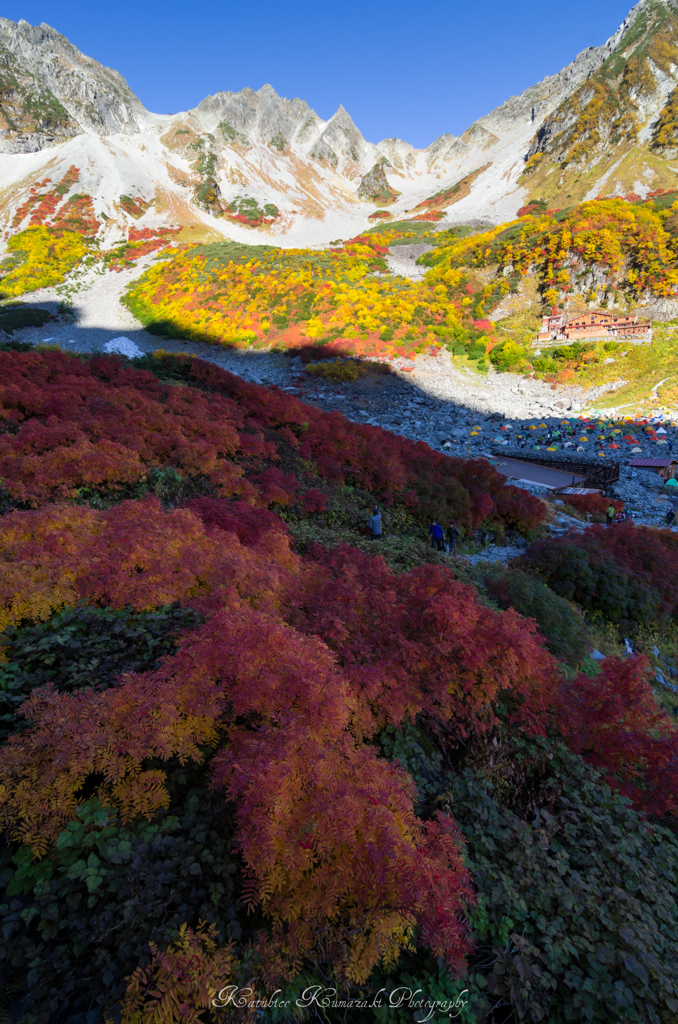 涸沢紅葉 2014