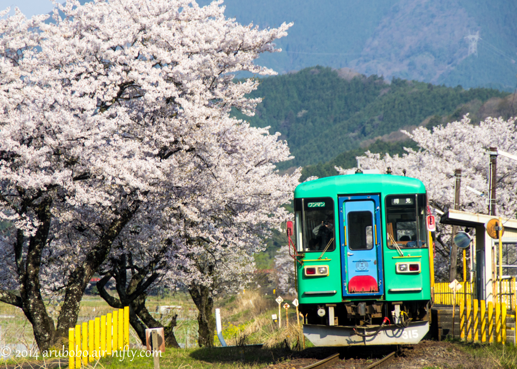 春色電車