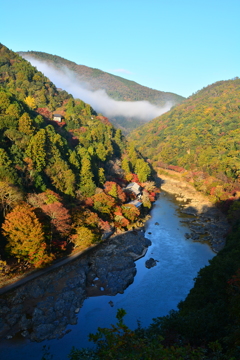 早朝の嵐山１