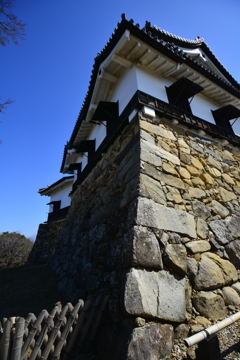 彦根城の石積み１