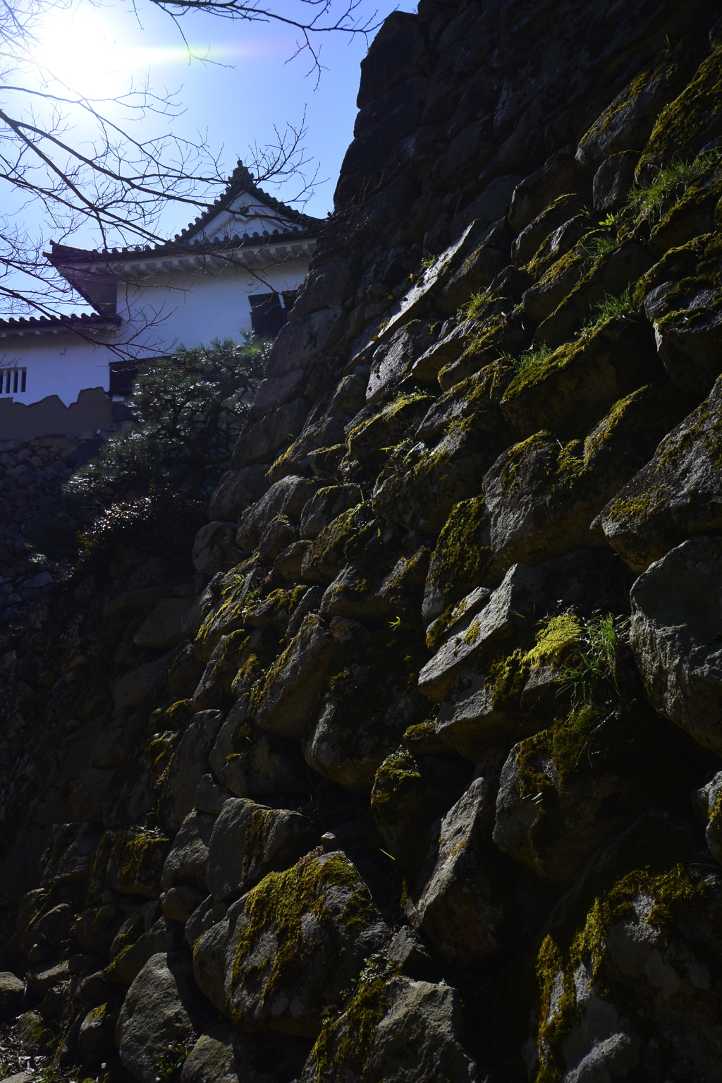 彦根城の石積み３
