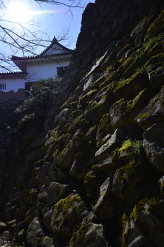 彦根城の石積み３